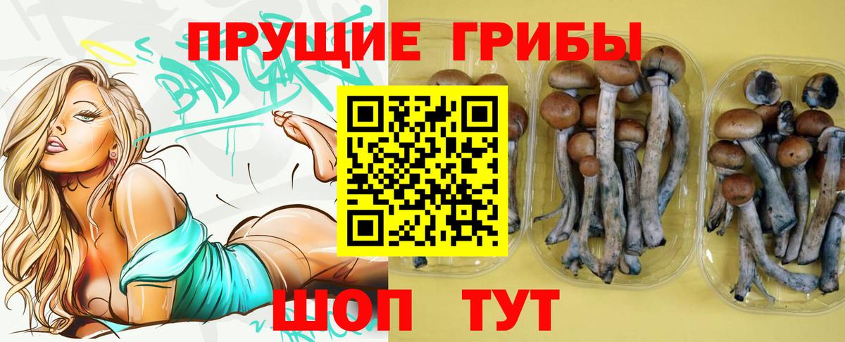 Псилоцибиновые грибы мицелий  Вход с VPN  Кудрово 